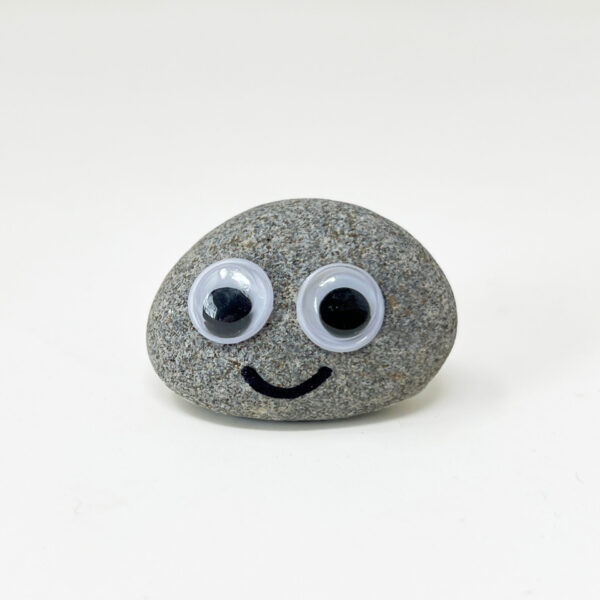 Pet Rock - Novelty Gift Idea - Ideal For Birthday Presents, Wedding Favours, Party Bags etc