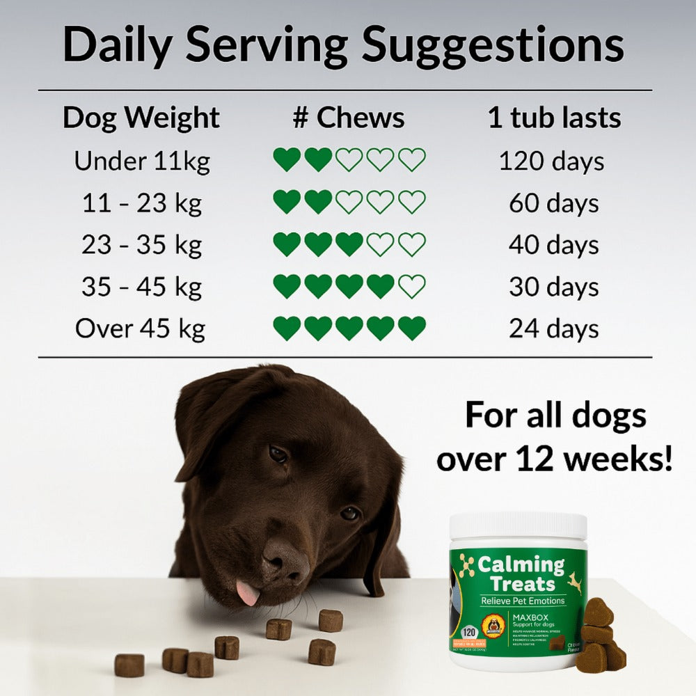 Dog Calming Treats 120 Soft Chews – MAXBOX Stress & Anxiety Relief Chewable Tablets for Dogs of All Sizes, Daily Wellbeing Support, Made in UK