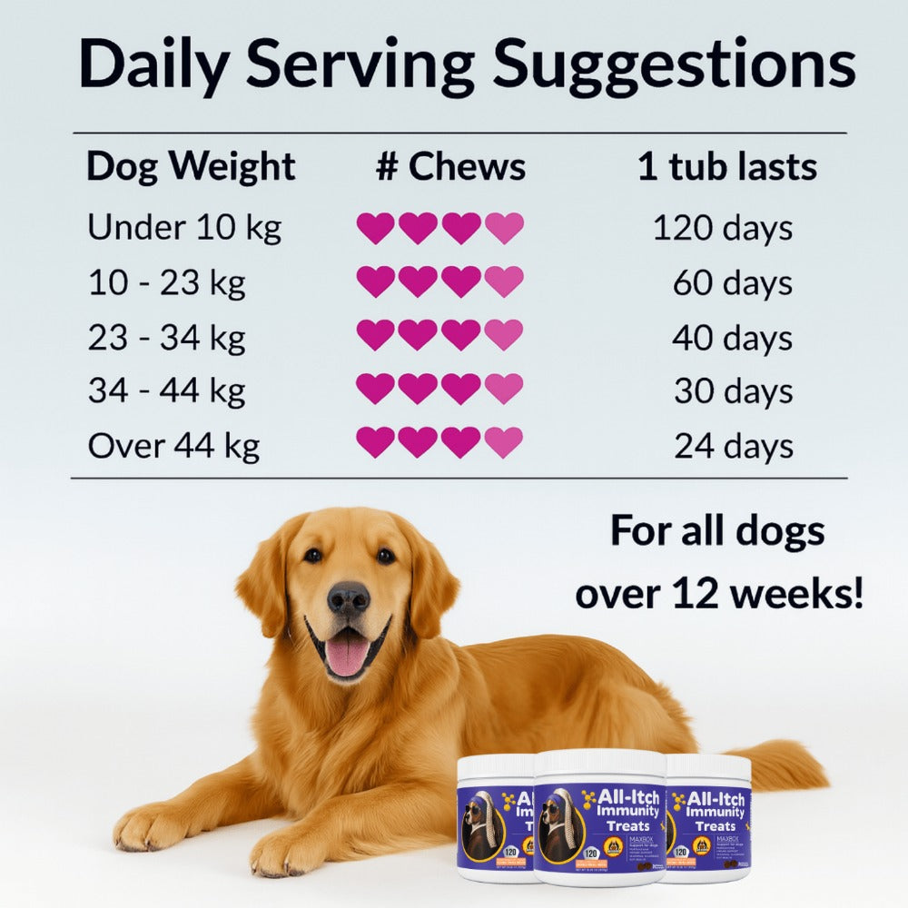 MAXBOX All Itch & Immunity Treats for Dogs – Anti-Itch Supplement Chews with Omega-3, Turmeric & Probiotics, Soothes Skin, Paws, Ears & Eyes, All Breeds