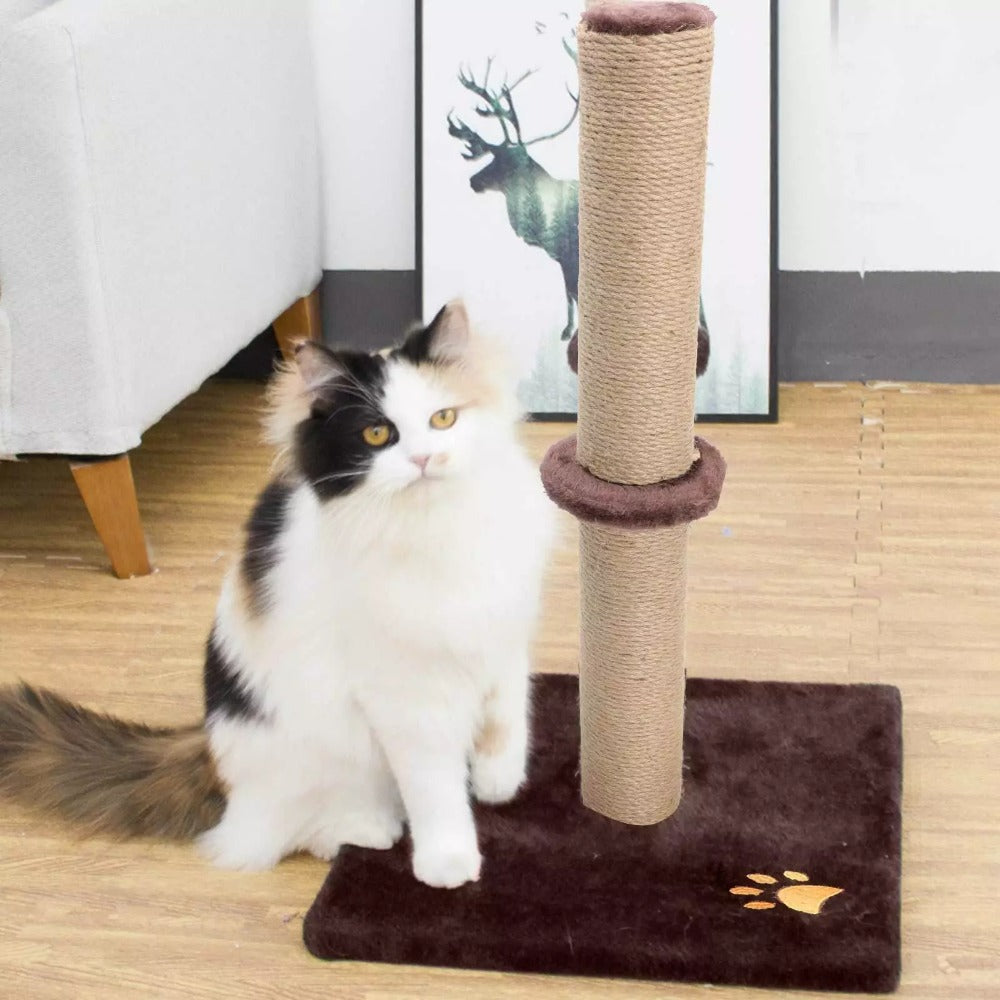 Cat Scratching Post 62cm Tall Sisal Pole Scratcher – Sturdy Cat Furniture for Indoor Cats, Protects Furniture, 3 Colours