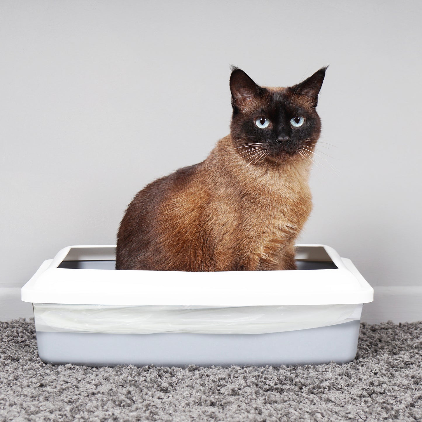 Ecobag Cat Litter Tray Liners - 30L - Heavy Duty Cat Litter Bags, Recycled Litter Liners, Durable Cat Tray Liners Easy to Dispose
