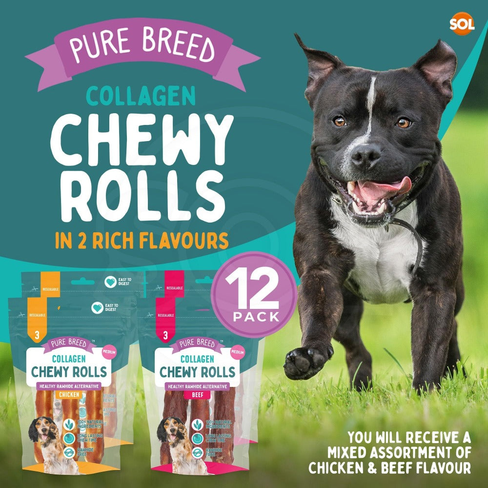 Collagen Chewy Rolls for Dogs 12 Pack – Long Lasting Dog Chews 12cm, Beef & Chicken Flavour, Natural Protein Training Treats for Puppies & Adults, Resealable Pack, Oral Care Boredom Buster