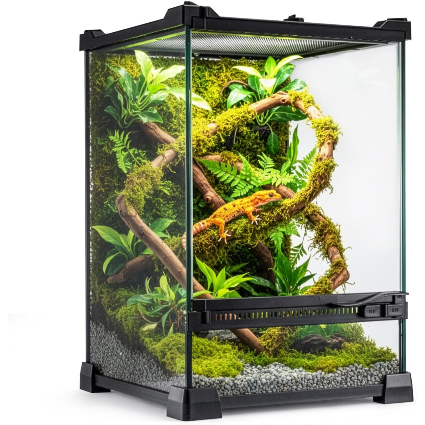 Glass Reptile Terrarium Vivarium Tank – Ventilated Habitat for Lizards, Frogs, Snakes & Spiders, Horizontal & Vertical, Leakproof Base