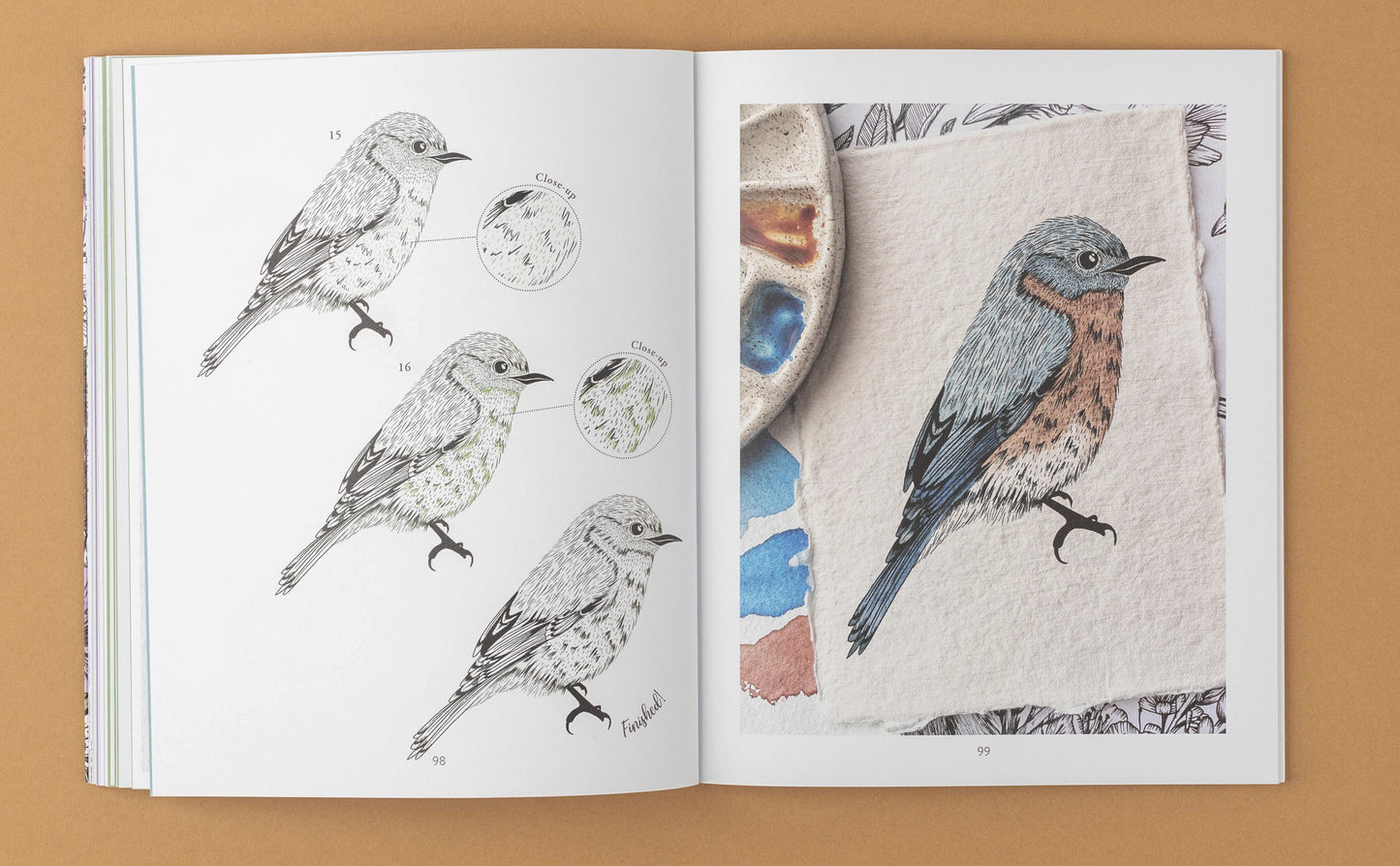 The Kew Book of Drawing Flora And Fauna ¦ 20 Stunning Step-By-Step Tutorials - Draw Plants And Animals with Joy-Louise Robinson