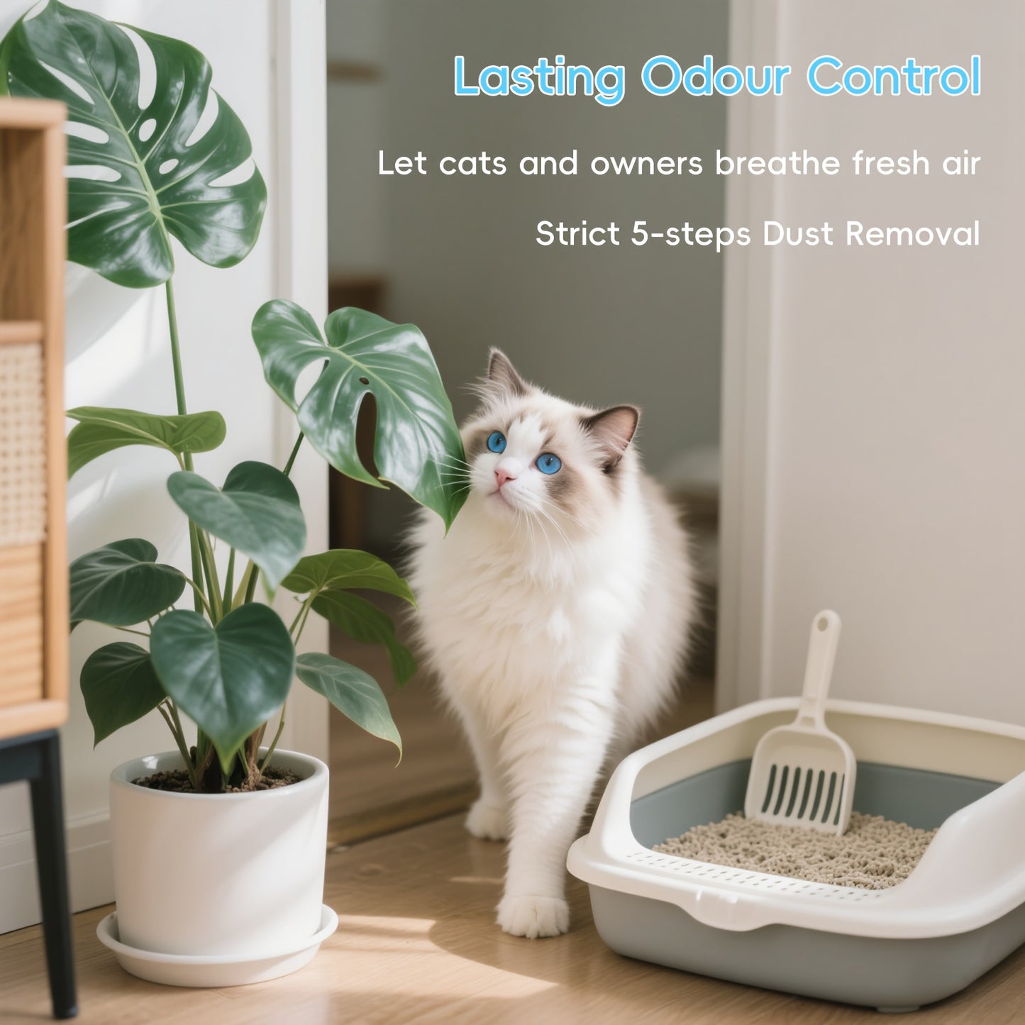 Premium Tofu Blended Cat Litter, Deodorizing Tofu Cat Litter, Clumping Low Dust Easy To Clean Fast Clumping Odor Control Non-sticking Flushable Long-lasting, 2.3*1 Kg, Multi-Buy Discounts