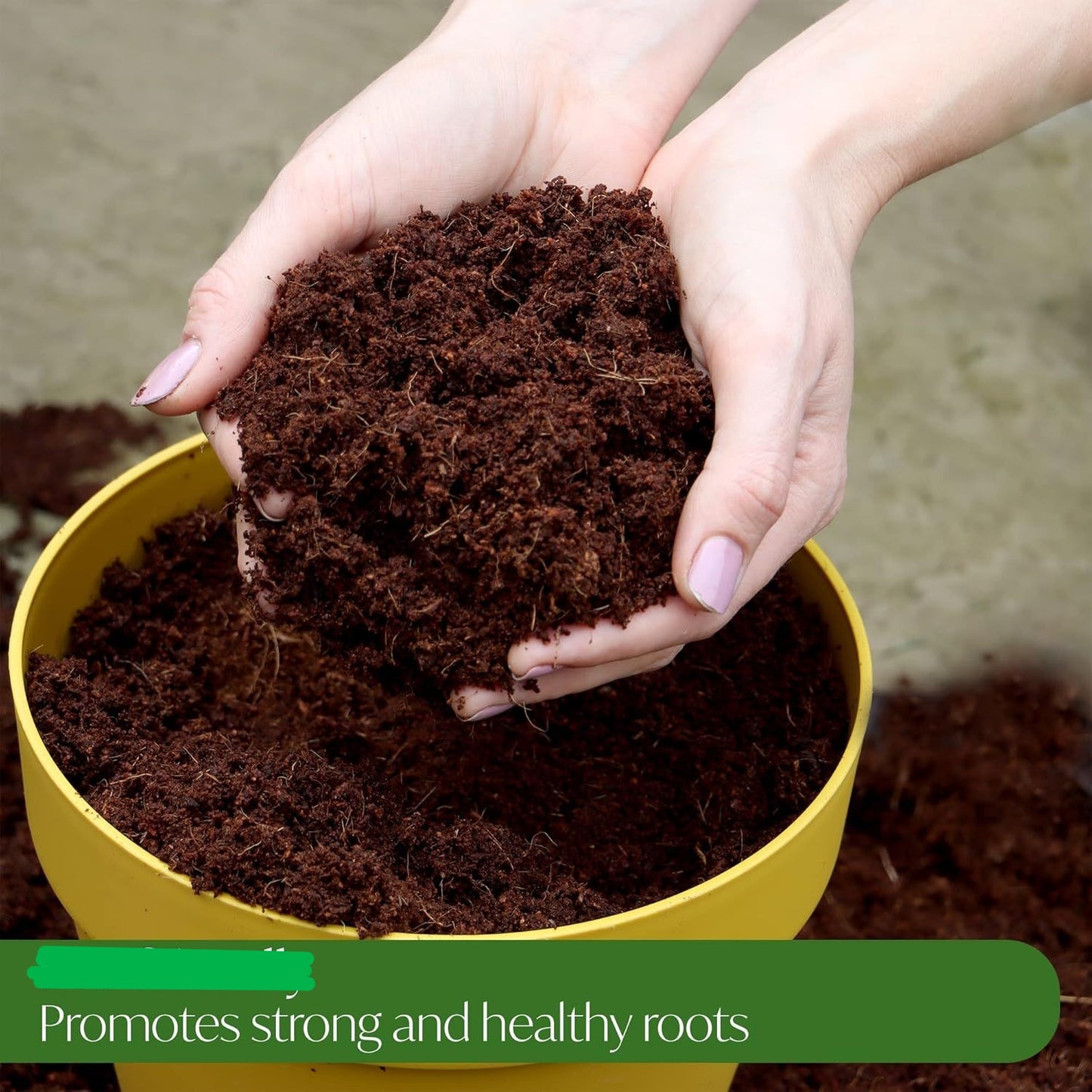 10L All/ Multi-Purpose Compost Soil – Compost Mix for Potting, Growing Garden, Outdoor, Indoor Seed Plants
