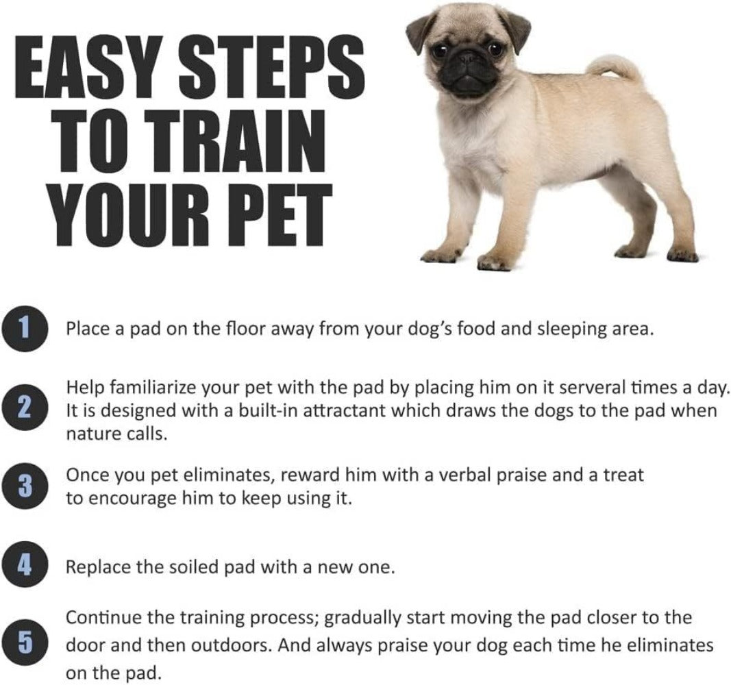 Puppy Training Pads 56x56cm – 50 & 100 Pack Super Absorbent Dog Pee Pads with Leakproof Backing, Odour Control & Fast Dry Surface | House Training, Crates & Travel