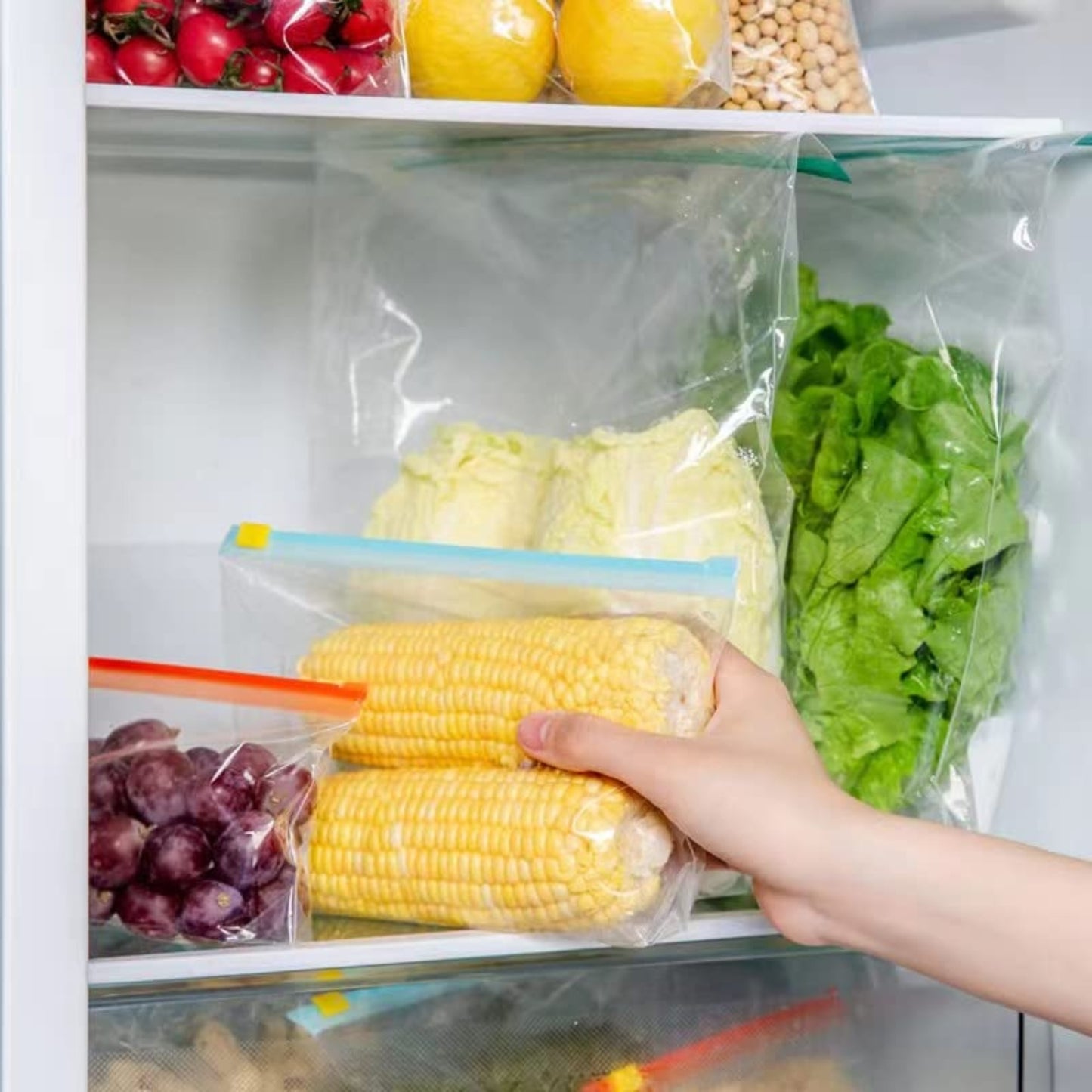 94 Reusable Zip Seal Food Storage Freezer Bags - Reusable Plastic Organising Bags for Fruits, Vegetables, Beans, and Meal Prep, Food Storage Solution | Freshness Bags | Secure Closure, Food Storage Bags