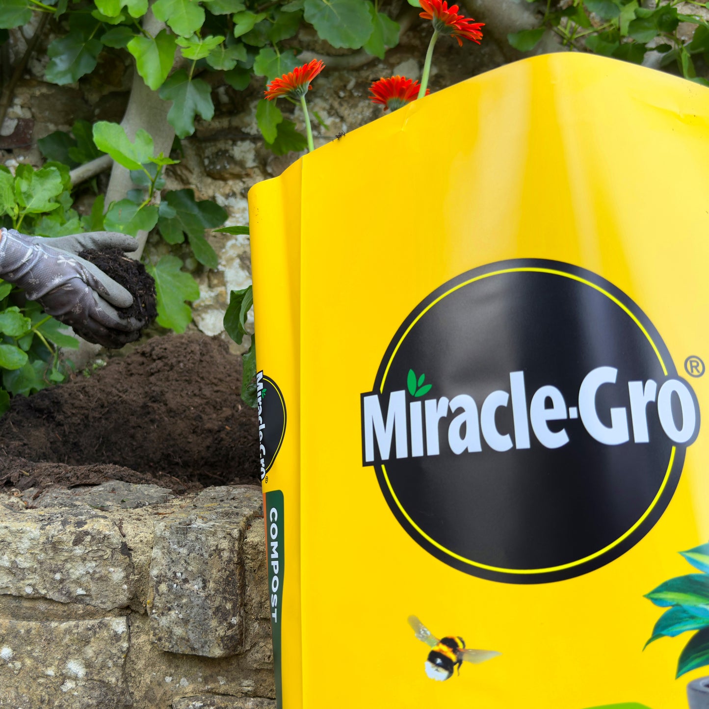2x Miracle-Gro All Purpose Compost 40L Large Volume Multi-Use Plant Growing Medium for Flowers, Vegetables, Shrubs, Houseplants, Pots & Garden Beds