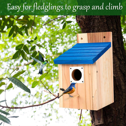 2pcs Cedar Bluebird Box Houses with Metal Guard, Secure Latch, Fledgling Grooves, Air Vents - Wooden Bird Houses for Outside, 1-1/2" Entrance Hole, Perfect for Bluebirds, Wrens, Swallows, Bird Feeder Houses | Classic Style | Wooden Construction, Bird Hous