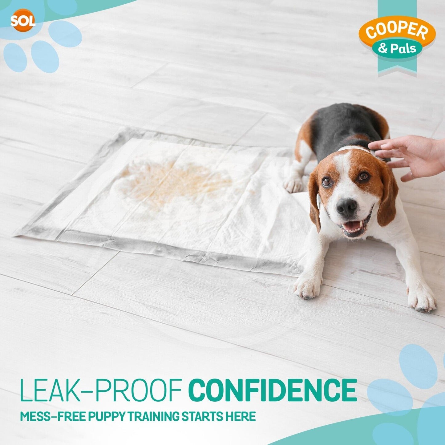 100 Puppy Training Pads for Dogs | Large 60x45cm Dog Pee Pads with Leak-Proof Backing & Odour Control | Super Absorbent Puppy Toilet Training Mats | Bulk Disposable Dog Wee Pads for Housebreaking & Travel