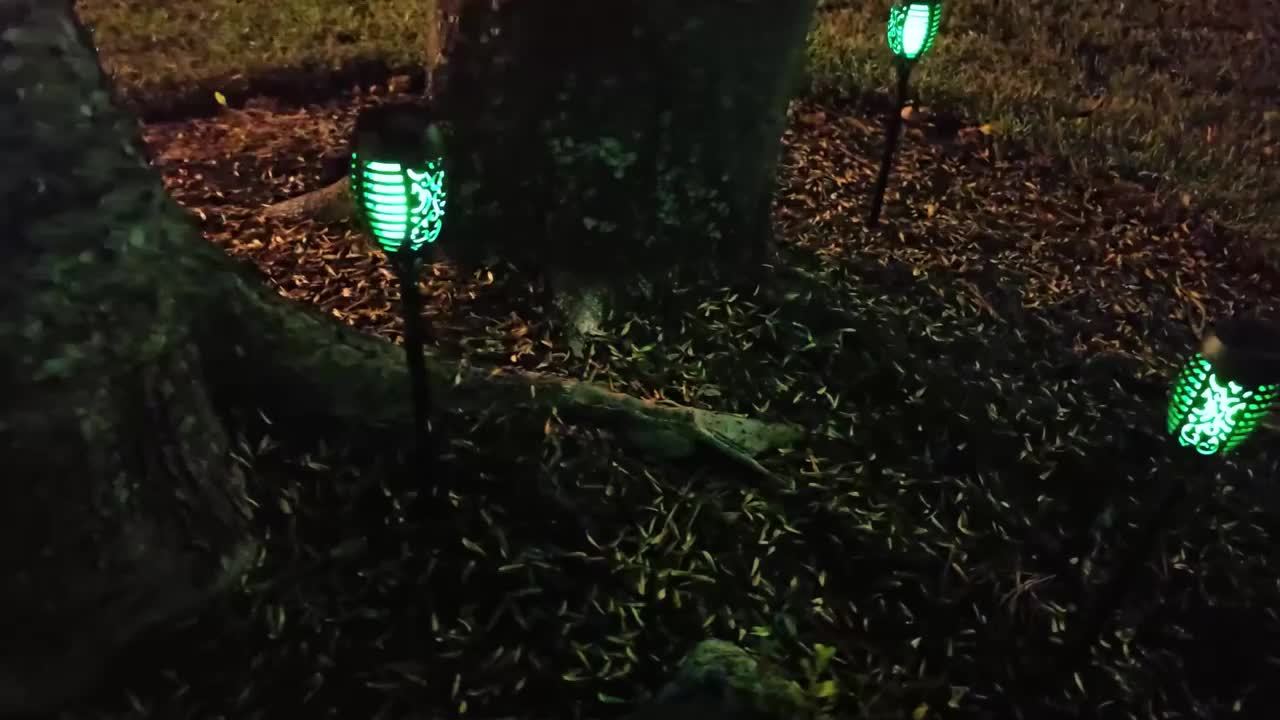 4/6/8/12-Pack Green Solar Flame Lights for Outdoor, Solar Torch Lights with Flickering Flame, Decorative for Garden Lawn Yard Pathway, Halloween Christmas Atmosphere Lights, Easy to Install