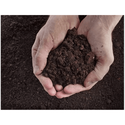 3 Pack Growmoor Multi Purpose Compost 50L Premium Garden Soil Mix For Flowers Plants Pots Hanging Baskets And Seed Growing