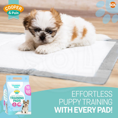 100 Puppy Training Pads for Dogs | Large 60x45cm Dog Pee Pads with Leak-Proof Backing & Odour Control | Super Absorbent Puppy Toilet Training Mats | Bulk Disposable Dog Wee Pads for Housebreaking & Travel