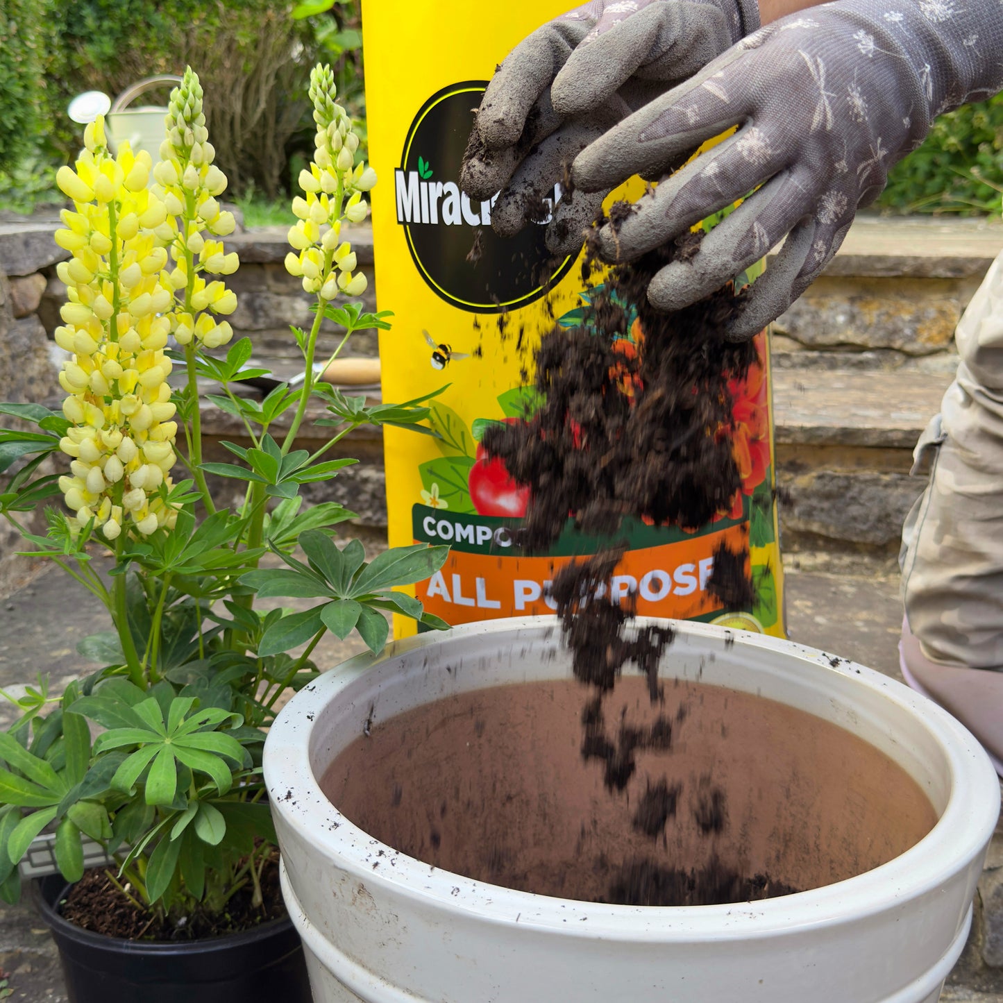 2x Miracle-Gro All Purpose Compost 40L Large Volume Multi-Use Plant Growing Medium for Flowers, Vegetables, Shrubs, Houseplants, Pots & Garden Beds