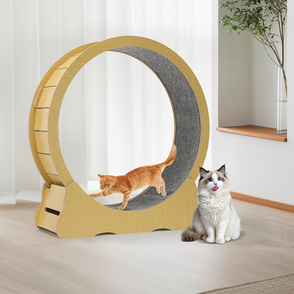 Cat Exercise Wheel, Plastic Wheel with Carpeted Runway, Easy to Install & Fitness & Health, Suitable for Most Cats, 79 Cm, for Indoor Cats