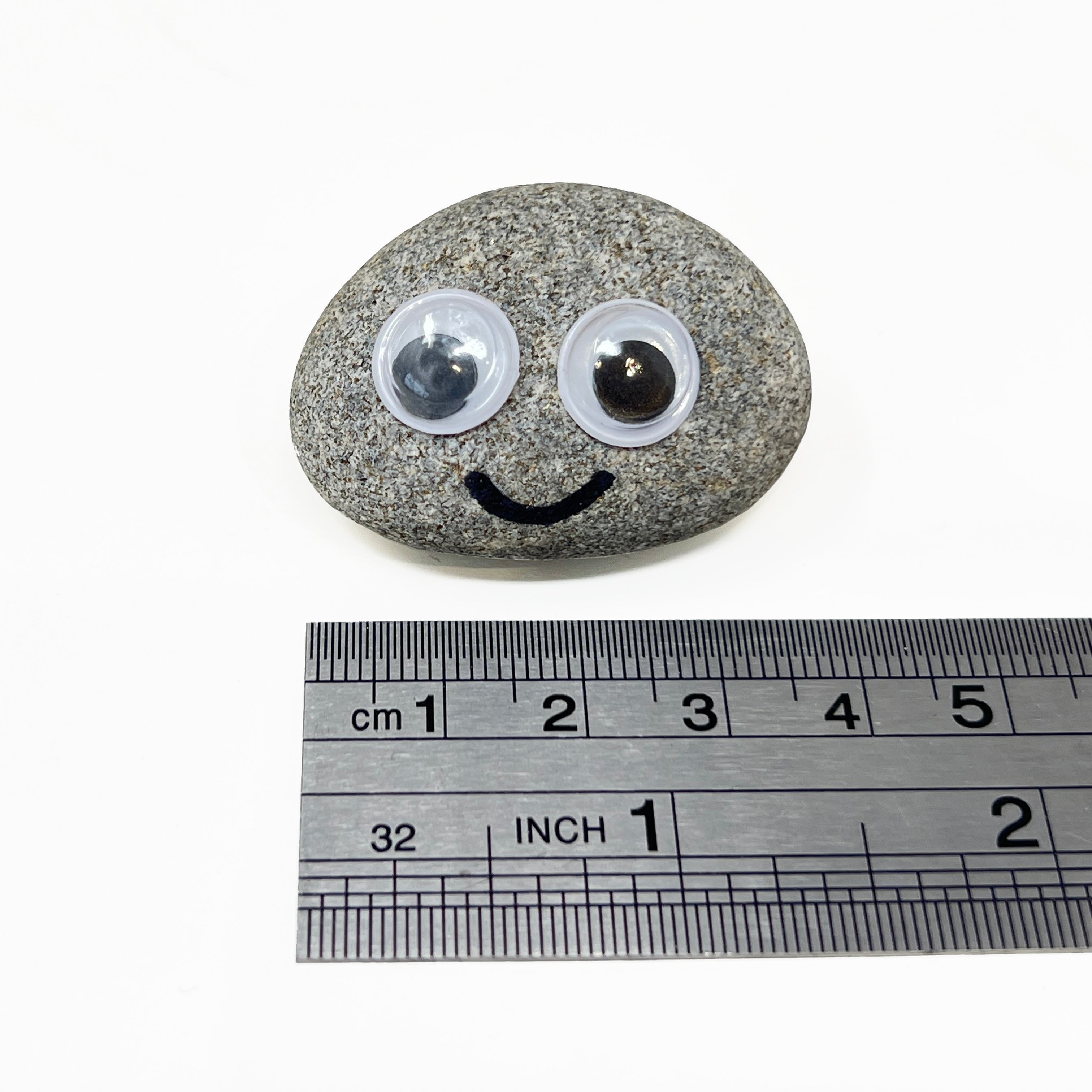 Pet Rock Novelty Funny Gift for the Person Who Has Everything – Gag Gift for Birthdays Wedding Favours Party Bags Secret Santa
