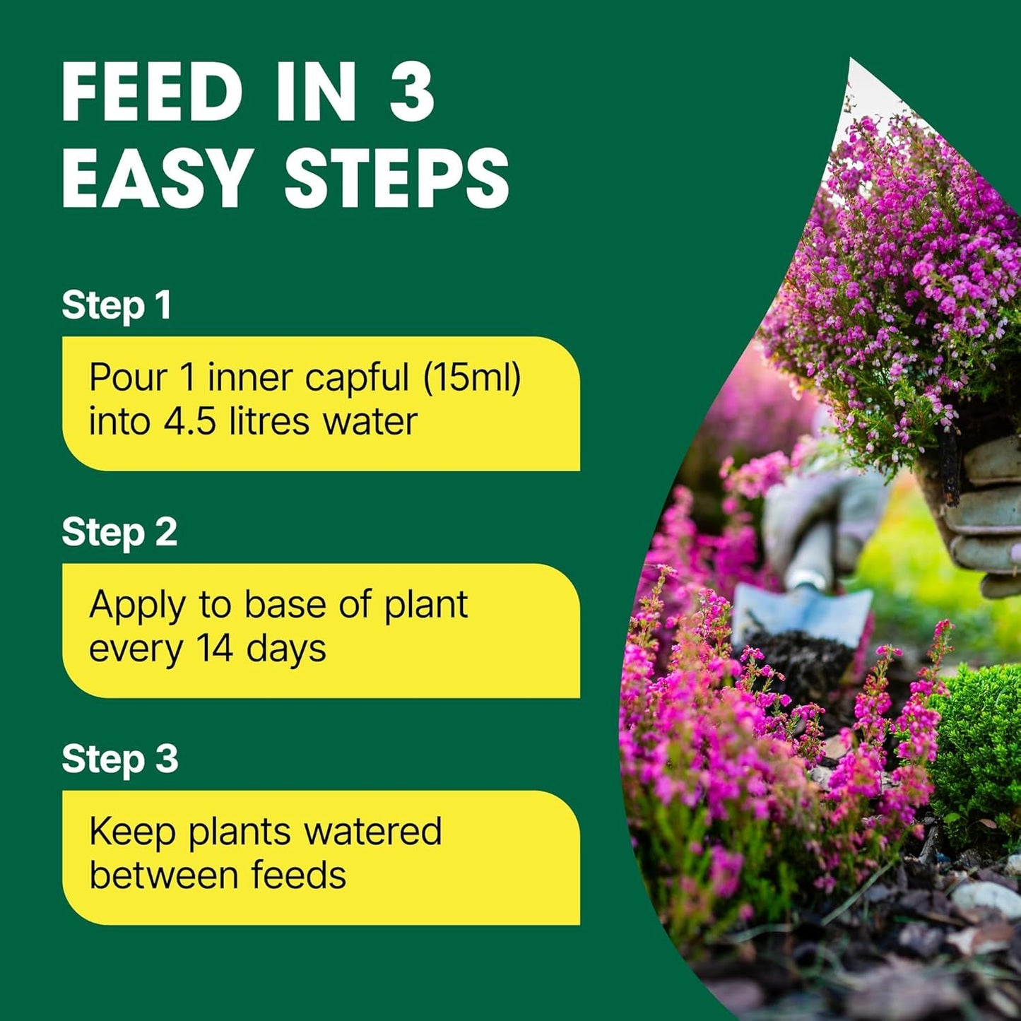 Doff Azalea Camellia & Rhododendron Feed Concentrate 1L
