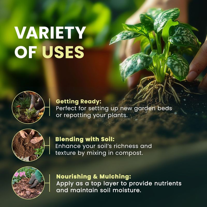 Green Haven 50L Peat Free Multi-Purpose Compost – All Purpose Potting Soil, Nutrient-Rich Planting Mix for Indoor & Outdoor Plants, Vegetables, Seed Starting, Garden Beds & Planters
