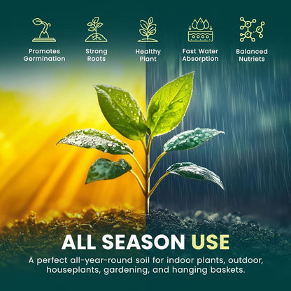 Green Haven 50L Peat Free Multi-Purpose Compost – All Purpose Potting Soil, Nutrient-Rich Planting Mix for Indoor & Outdoor Plants, Vegetables, Seed Starting, Garden Beds & Planters