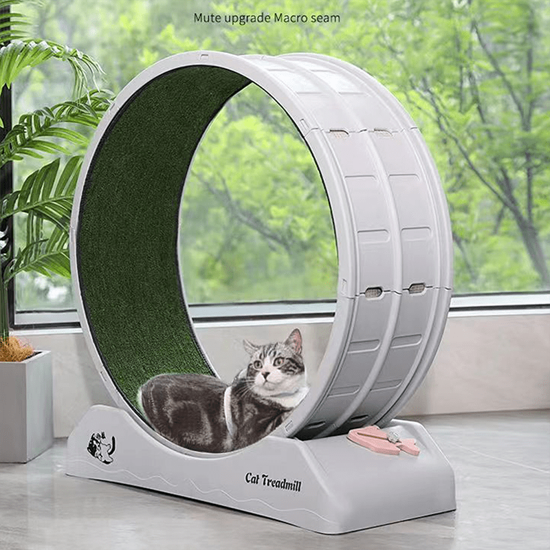 1pc Indoor Assembly Cat Roller Treadmill, Silent Fitness Cat Treadmill Wheel, Plastic Treadmill for Pet Cats, Easy to Assemble and Clean