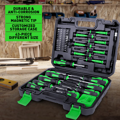 Amartisan 43pcs Magnetic Screwdriver Set with Case, Chrome Vanadium Steel, Includes Slotted, Phillips, Hex, Pozidriv, Torx & Precision Screwdrivers, Magnetizer/Demagnetizer, Flexible Shaft for Home Repair, DIY & Professional Use