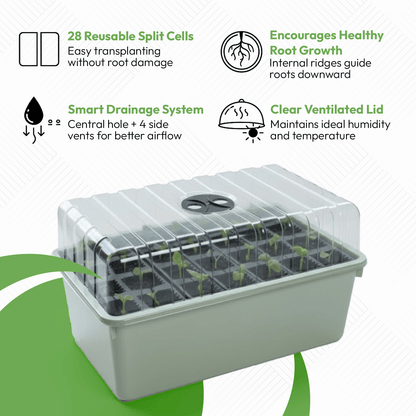 28 Cell Deep Rootrainer Propagator Garland Deep Root Success Kit Reusable Deep cell Root trainers Plug Plant Seed Root Tray Trainer Propagator Deep root success Kit Deep root seed starting trays 12cm Deep