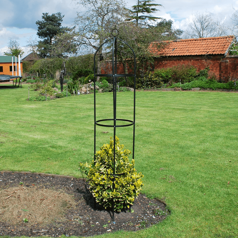 Garden Obelisk | Made From Coated Steel Tubing with Easy Assembly | Stylish And Modern Design | Ideal For Climbing Plants, Roses, Shrubs, Trees and Perfect for Decoration | Pointed Feet For Stability