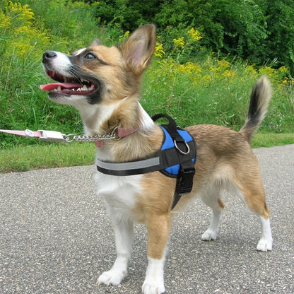 Adjustable Reflective Dog Harness Nylon Vest – Striped Design with D-Ring Leash Attachment & Eat Play Love Patch, No-Pull Walking Harness for Small & Large Dogs