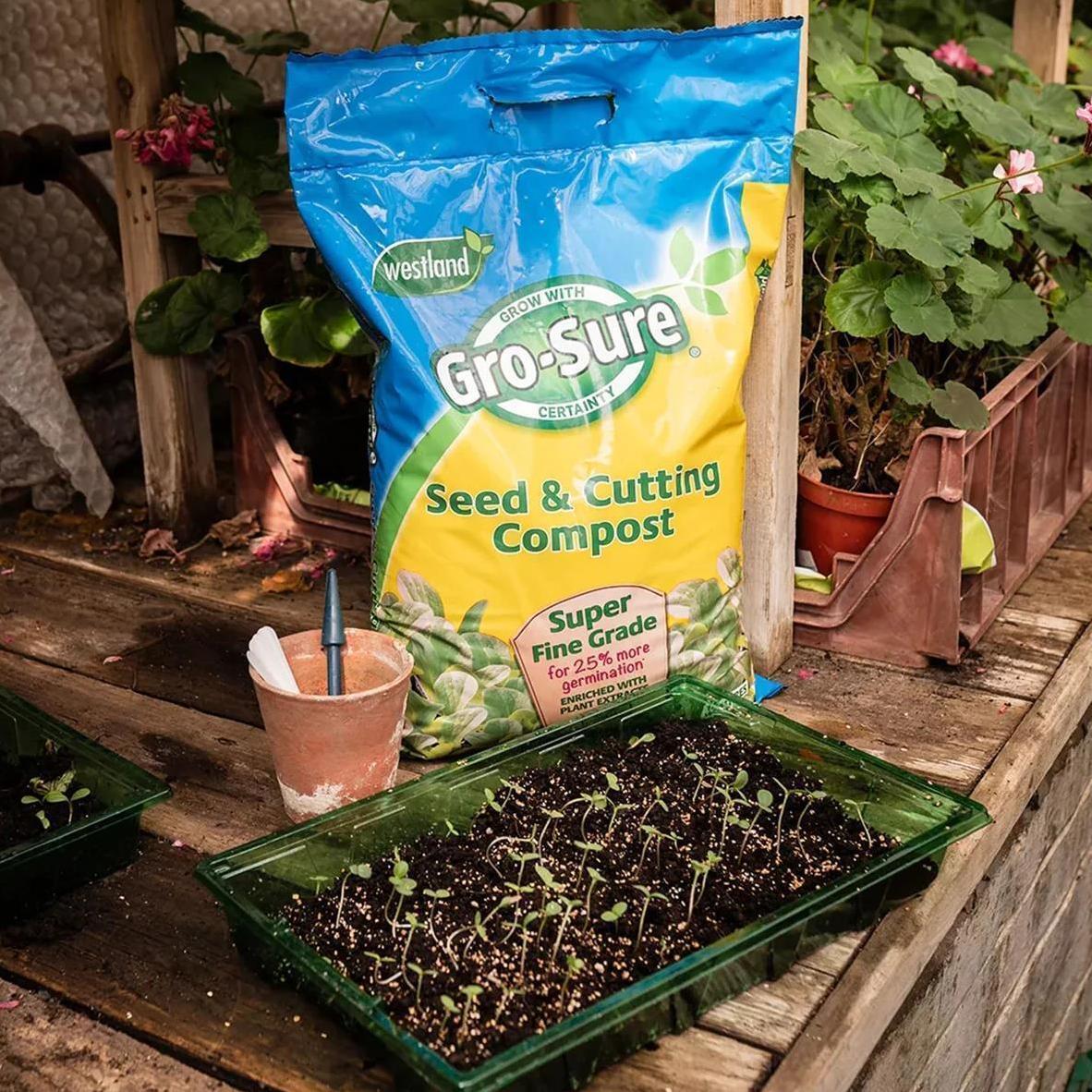 Westland Gro-Sure Seed & Cutting Compost 10L 20L Super Fine Grade Soil Creates Healthy Abundant Plants For Garden Potting Plants Tubs Planting Enriched With Seaweed Nutrients for Healthier Plants Added Vermiculite Maximum Root Growth 10 Litres 20 Litres
