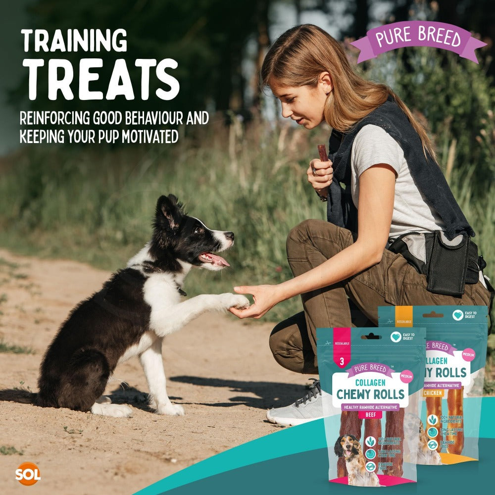 Collagen Chewy Rolls for Dogs 12 Pack – Long Lasting Dog Chews 12cm, Beef & Chicken Flavour, Natural Protein Training Treats for Puppies & Adults, Resealable Pack, Oral Care Boredom Buster