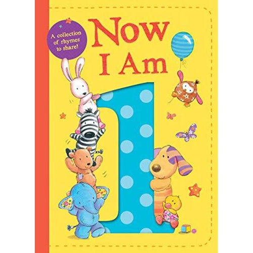 Now I Am 1 Book By Rachel Baines