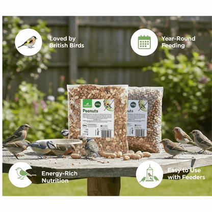 Natural Peanuts for Wild Birds – High Energy Bird Feed Ideal for Garden Feeding, Suitable for Feeders and Tables, Available in 400g Packs