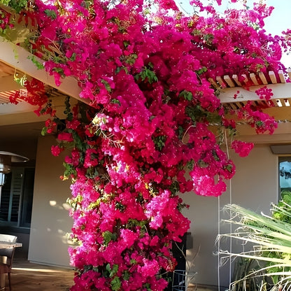 10pcs Artificial Bougainvillea Vines - Plastic Faux Flower Garland for Home, Wedding, Garden Decor, Perfect for Easter, Thanksgiving, Valentine's Day - No Pot Included