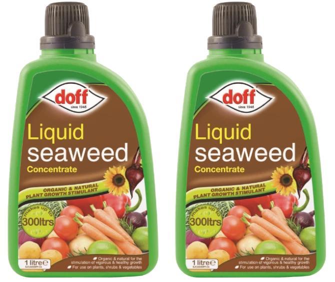2 X Doff Liquid Seaweed Concentrate 1L For Use on Garden Plants Shrubs & Vegetables, Supports Growth, Makes Up to 300L