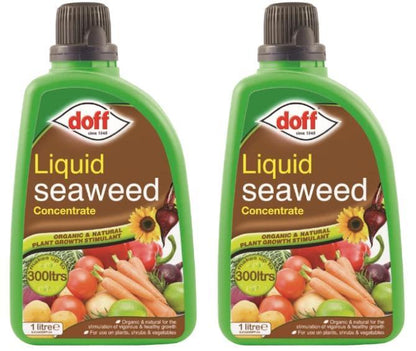 2 X Doff Liquid Seaweed Concentrate 1L For Use on Garden Plants Shrubs & Vegetables, Supports Growth, Makes Up to 300L