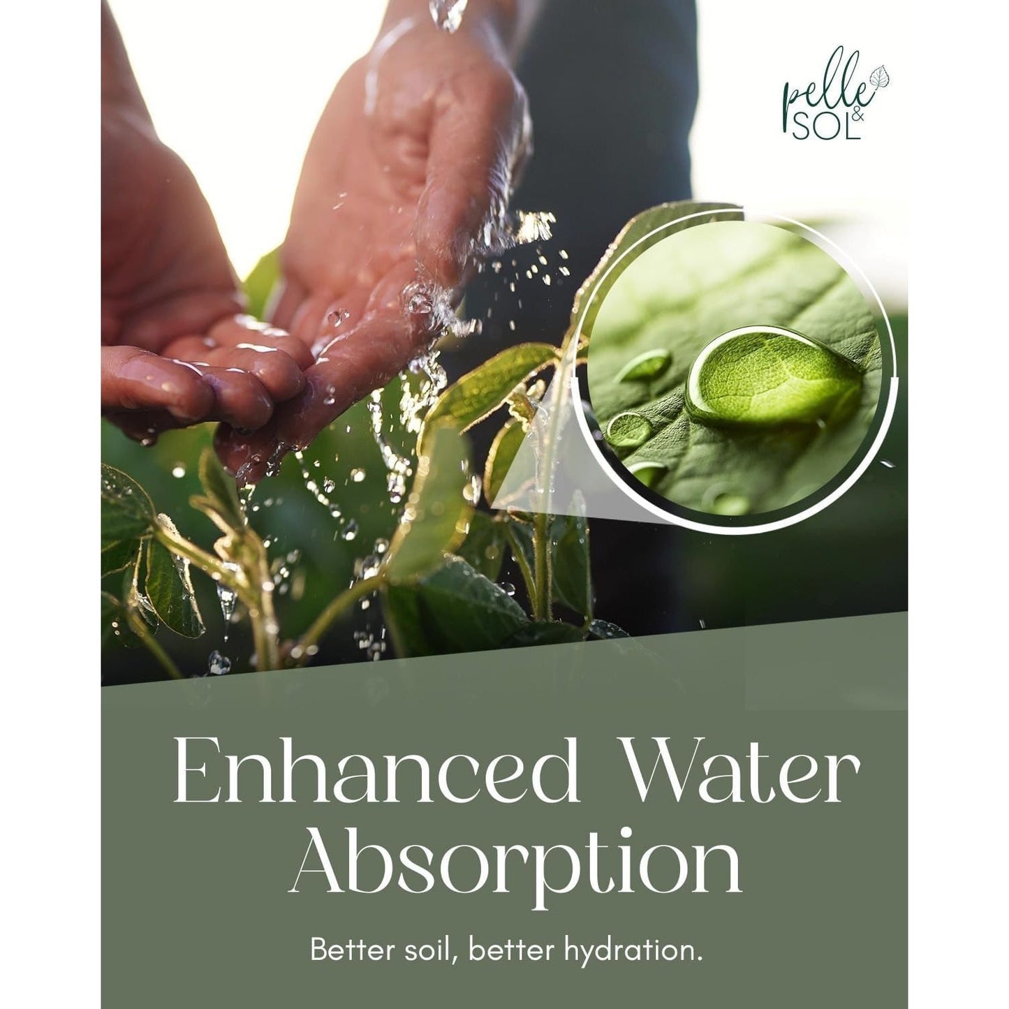 Pelle & Sol 10/20/40/50/60 Ltr Multi Purpose Compost - Compost for Outdoor Plants & Soil for Plants Indoors - Potting Soil for Pots Plants Outdoor - All Purpose Nutrient Rich Fertiliser, Houseplant Potting Mix