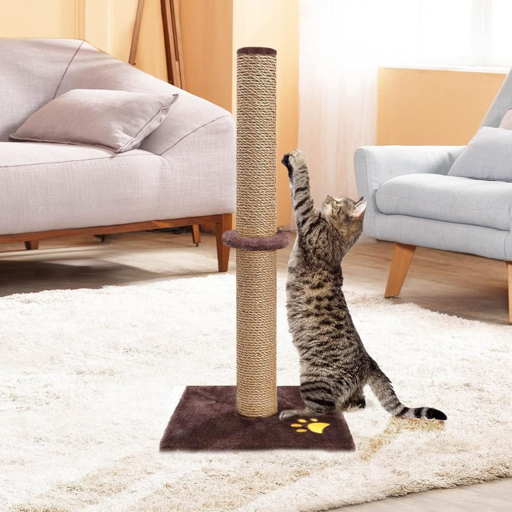 Cat Scratching Post 62cm Tall Sisal Pole Scratcher – Sturdy Cat Furniture for Indoor Cats, Protects Furniture, 3 Colours