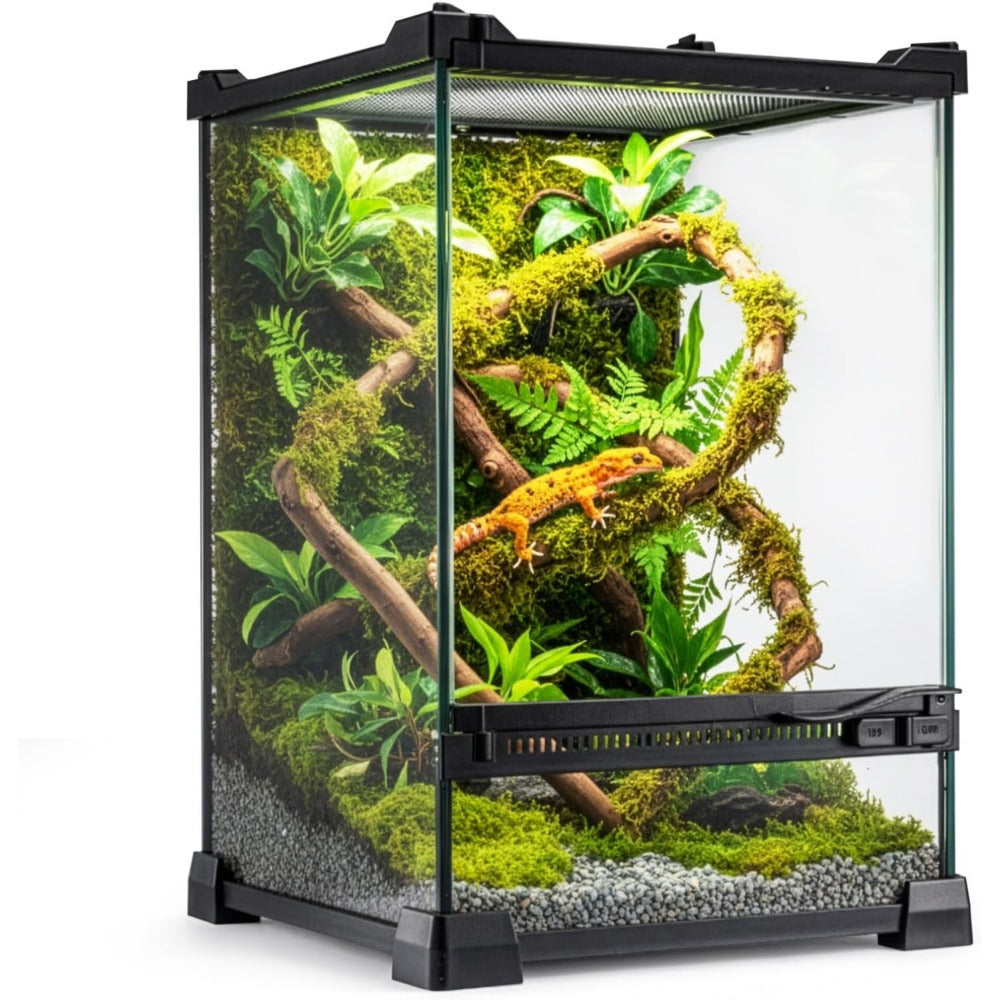 Glass Reptile Terrarium Vivarium Tank – Ventilated Habitat for Lizards, Frogs, Snakes & Spiders, Horizontal & Vertical, Leakproof Base