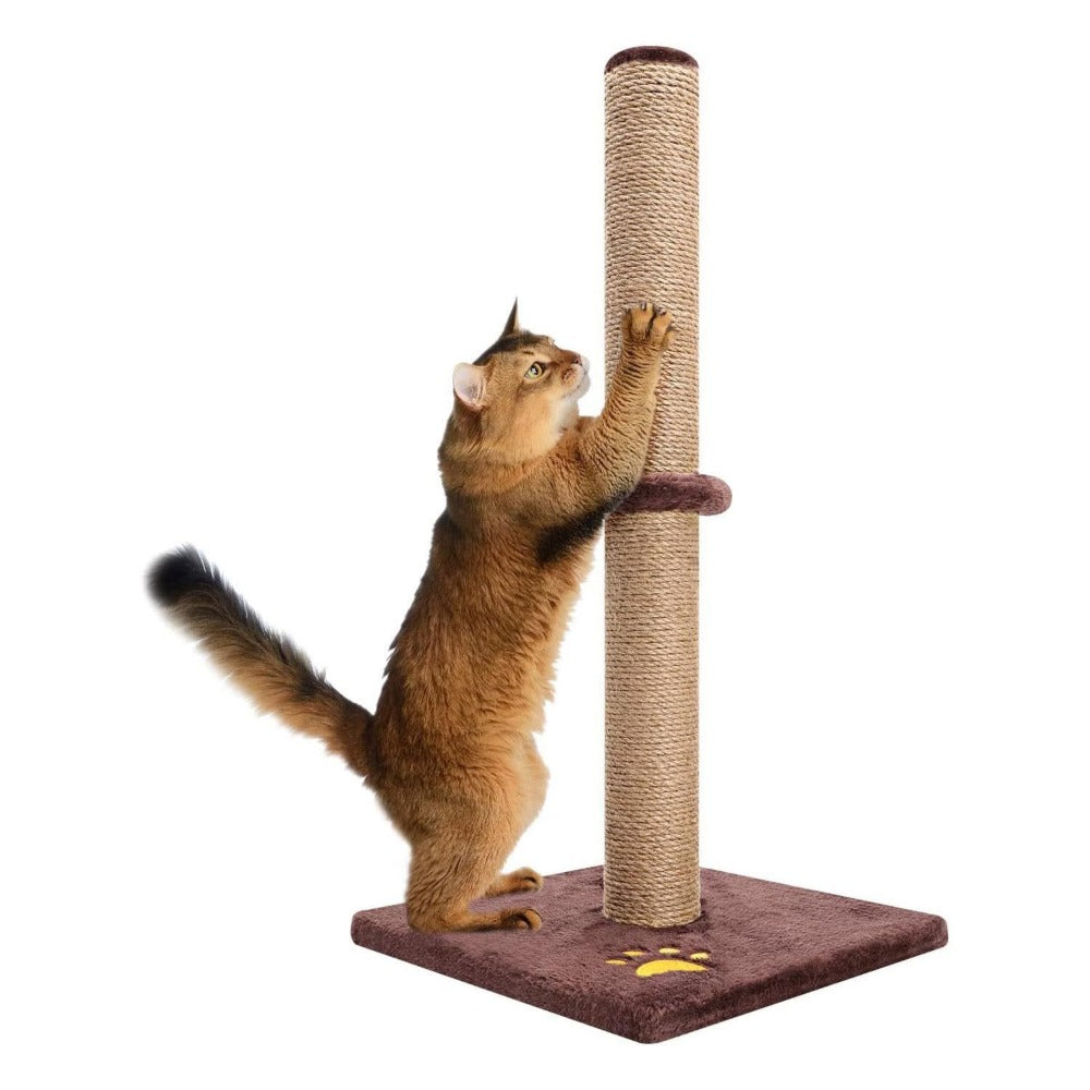 Cat Scratching Post 62cm Tall Sisal Pole Scratcher – Sturdy Cat Furniture for Indoor Cats, Protects Furniture, 3 Colours