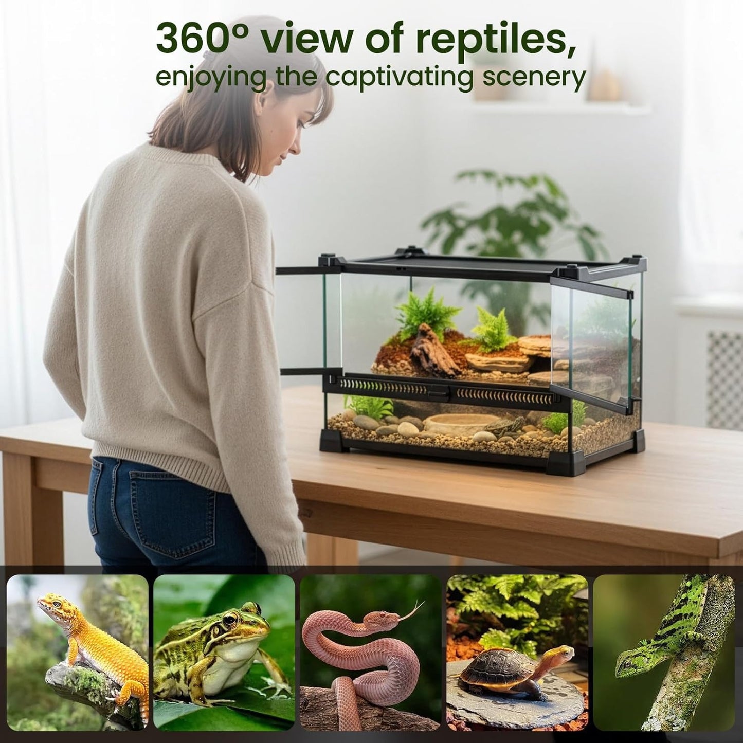 Glass Reptile Terrarium Insect Breeding Tank Vivarium Habitats for Lizards, Horned Frogs, Snakes, Spiders Reptile Glass Terrarium Tank Amphibians Box (Horizontal)