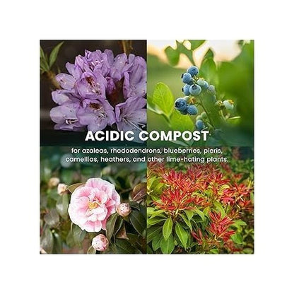 Growmoor Ericaceous Compost 50L Premium Soil Mix For Azalea Camellia Rhododendron And Heather Plants