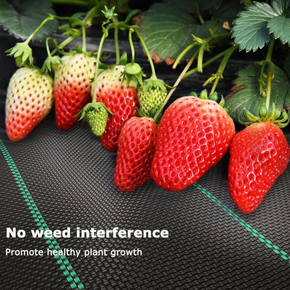 Woven Weed Control Membrane Heavy Duty UV Protection Black Weed Barrier Fabric for Garden Beds Patios Paths Landscaping Ground Cover 1m 2m 3m 4m Wide Multi-Size UK