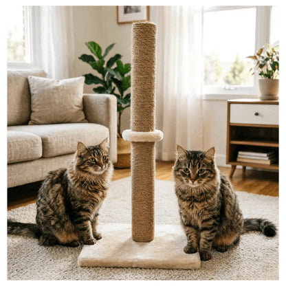 Cat Scratching Post 62cm Tall Sisal Pole Scratcher – Sturdy Cat Furniture for Indoor Cats, Protects Furniture, 3 Colours