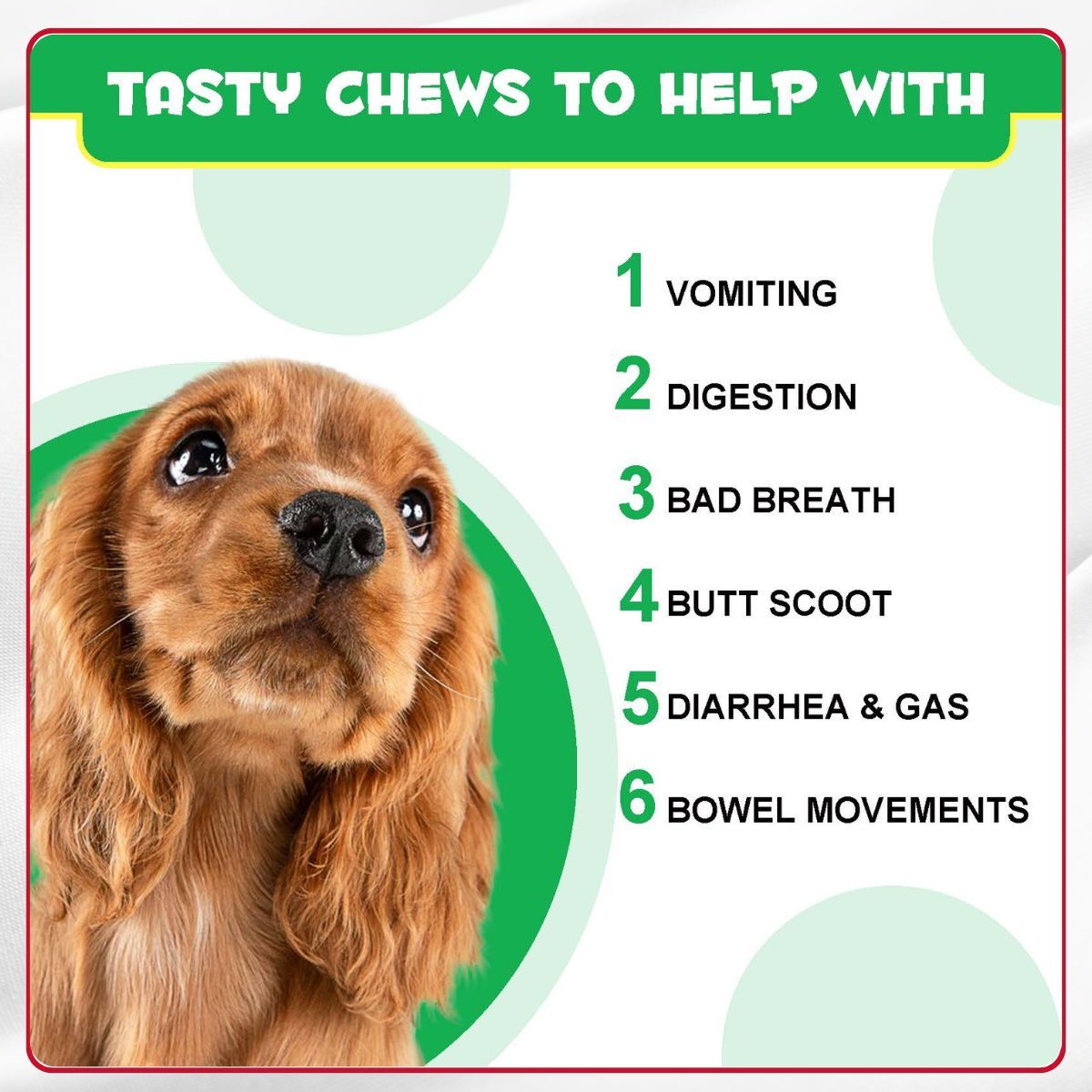 240 Probiotic Soft Chews for Dogs – Pre & Probiotic Blend with Pumpkin & Flaxseed, Supports Gut Flora, Digestion & Immune Health, All Breeds & Sizes