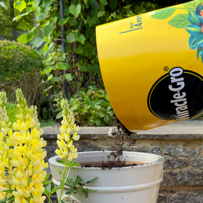 2x Miracle-Gro All Purpose Compost 40L Large Volume Multi-Use Plant Growing Medium for Flowers, Vegetables, Shrubs, Houseplants, Pots & Garden Beds