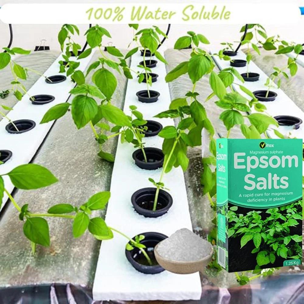 Vitax Epsom Salts 1.25kg – Magnesium Sulphate for Garden Use | Soil Additive for Plants, Shrubs & Vegetables