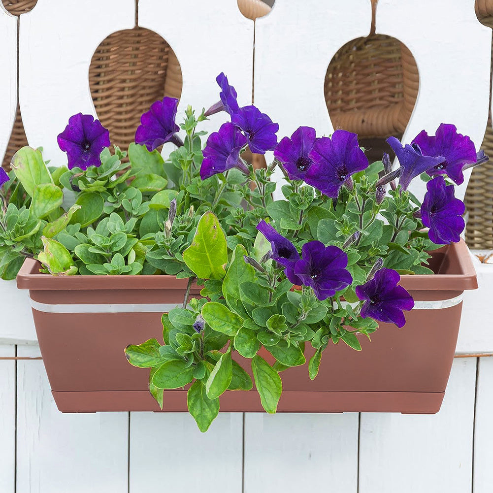 5pcs Balcony Vegetable Basin, Long Strip Horon Basin, Outdoor Creative Plastic Vegetable Planting Box, Available in White, Gray, Dark Green And Brick Red. Available Sizes: L42.5*W17*H14Cm/L49.5*W19*H*14Cm