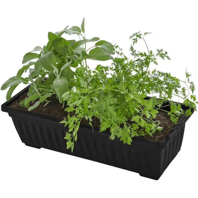 4 Tier Vertical Strawberry & Herb Planter – Raised Garden Beds With 4 Removable Raised Planter Trays, Foldable Structure, Outdoor Indoor Planter Stand For Flowers, Vegetables and Herbs