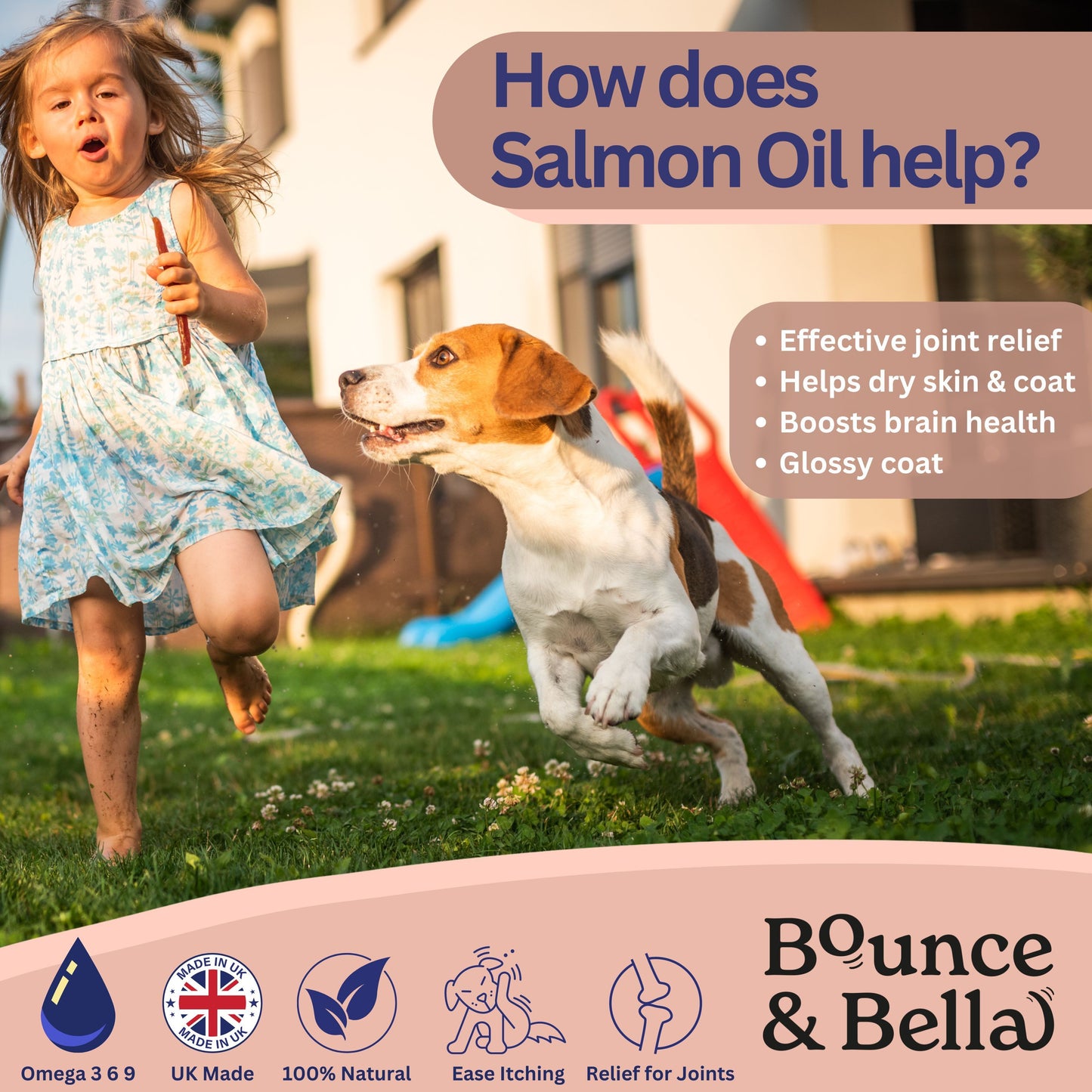 Scottish Salmon Oil for Dogs & Cats UK - Purity-Filtered Omega 3-6-9 Fish Oil Supplement, 500ml, Bounce and Bella